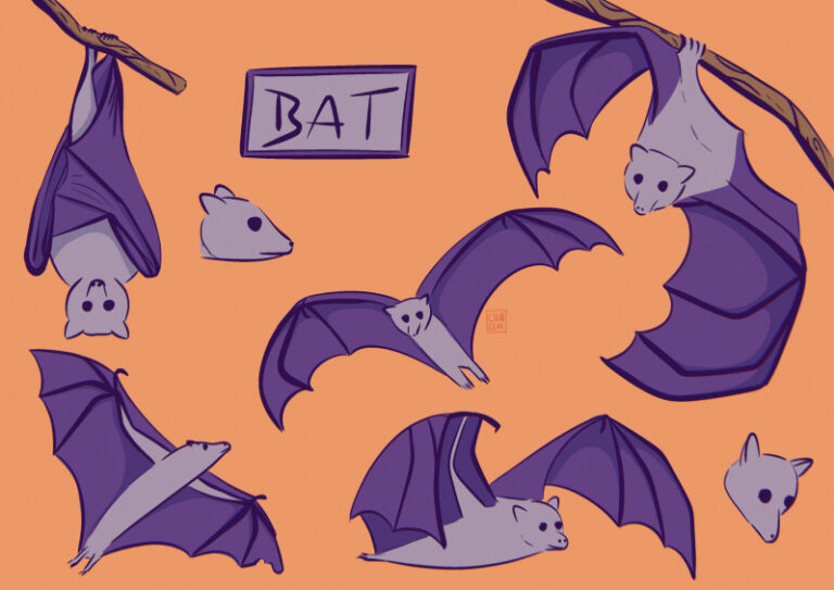 Bat