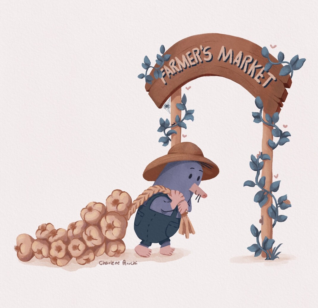 farmers market