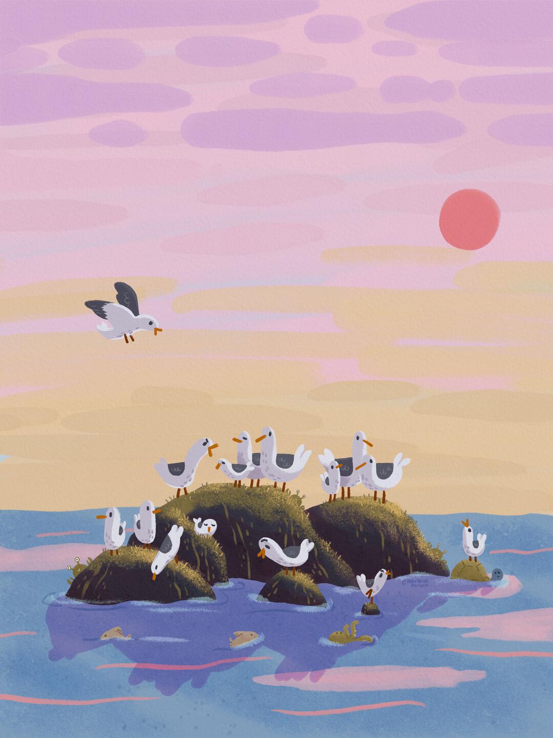 silly seagulls at the sea