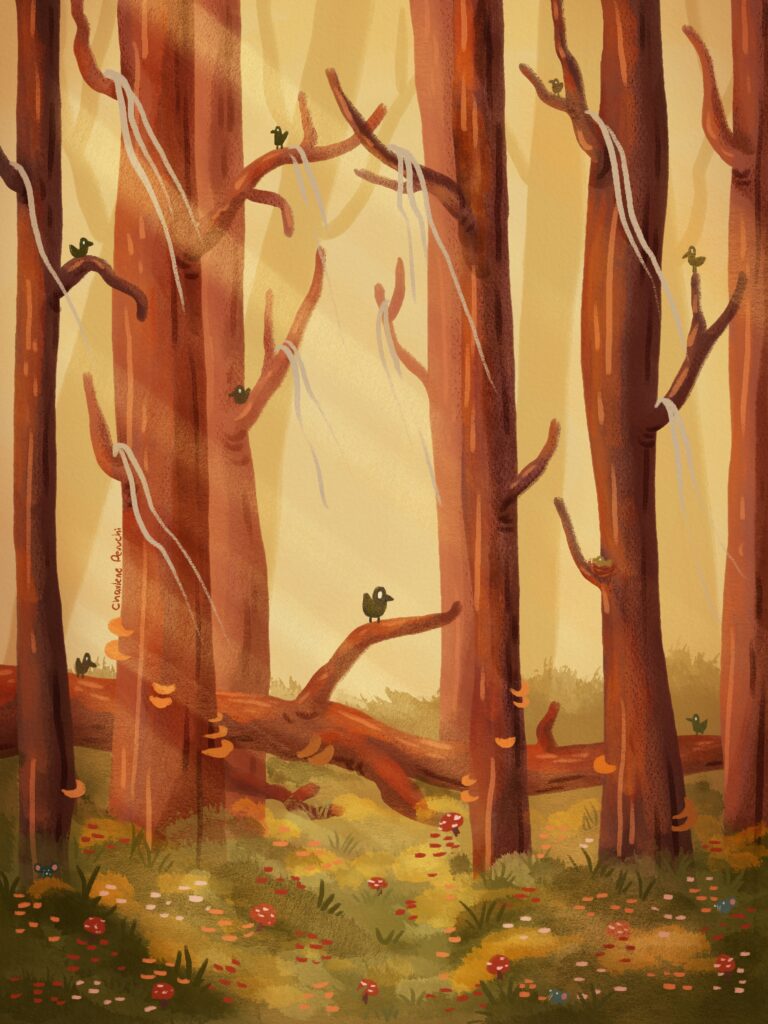 an autumnal forest in the sunset full of birds ans mushrooms